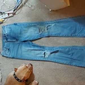 High rise shein flare jeans